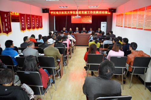 党建工作实践活动